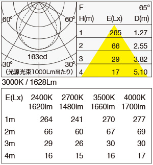 MPP-10/0300/FF/L 照明設計用配光データ（IESデータ）