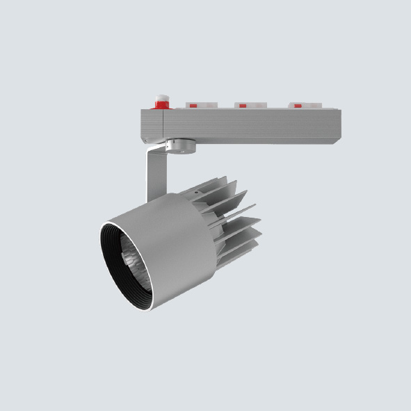 MSP-100S/1H/30C silver